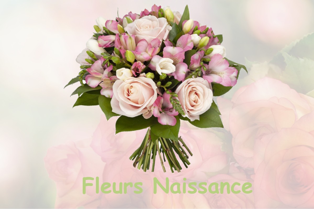 fleurs naissance SAINT-GENIES-BELLEVUE