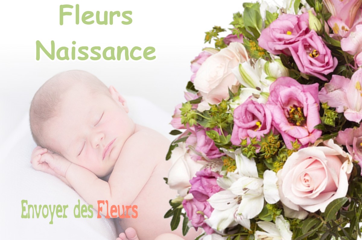 lIVRAISON FLEURS NAISSANCE à SAINT-GENIES-BELLEVUE